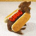 Hot Dog Pet Costume